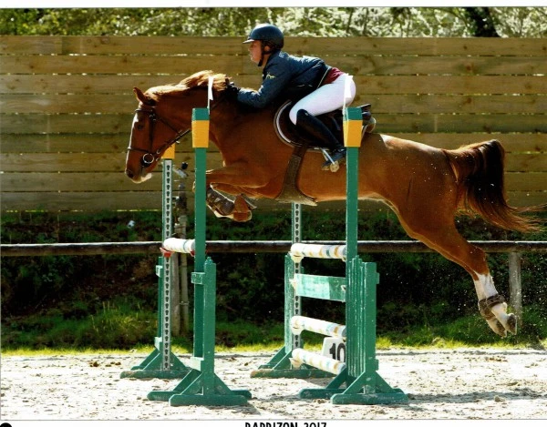 Cheyenne du Colorado CC 5 ans