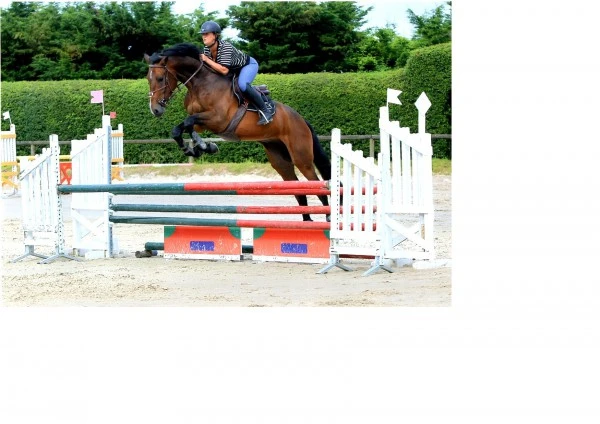 Conrad d'Artondu. Parcours Jeunes Chevaux
